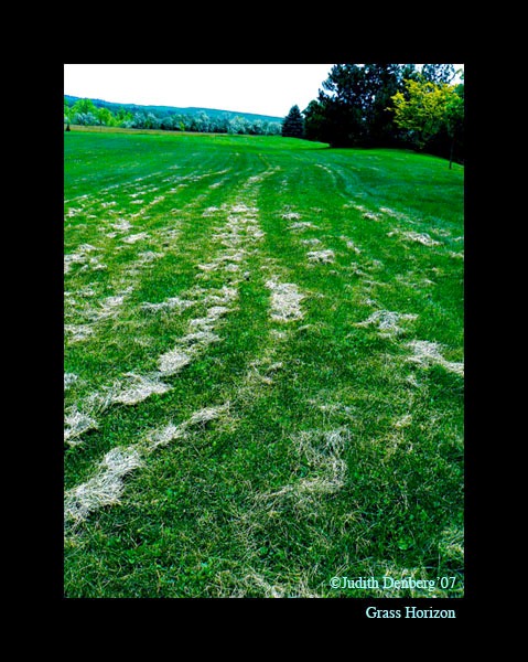 Grass Horizon