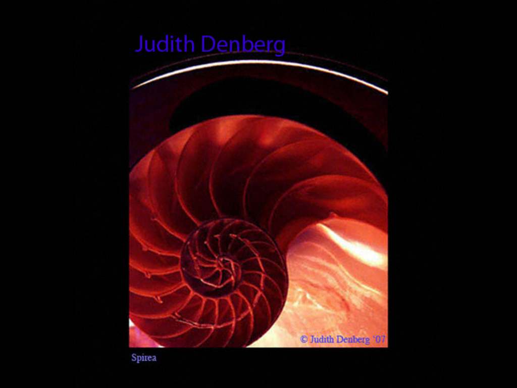 Spirea